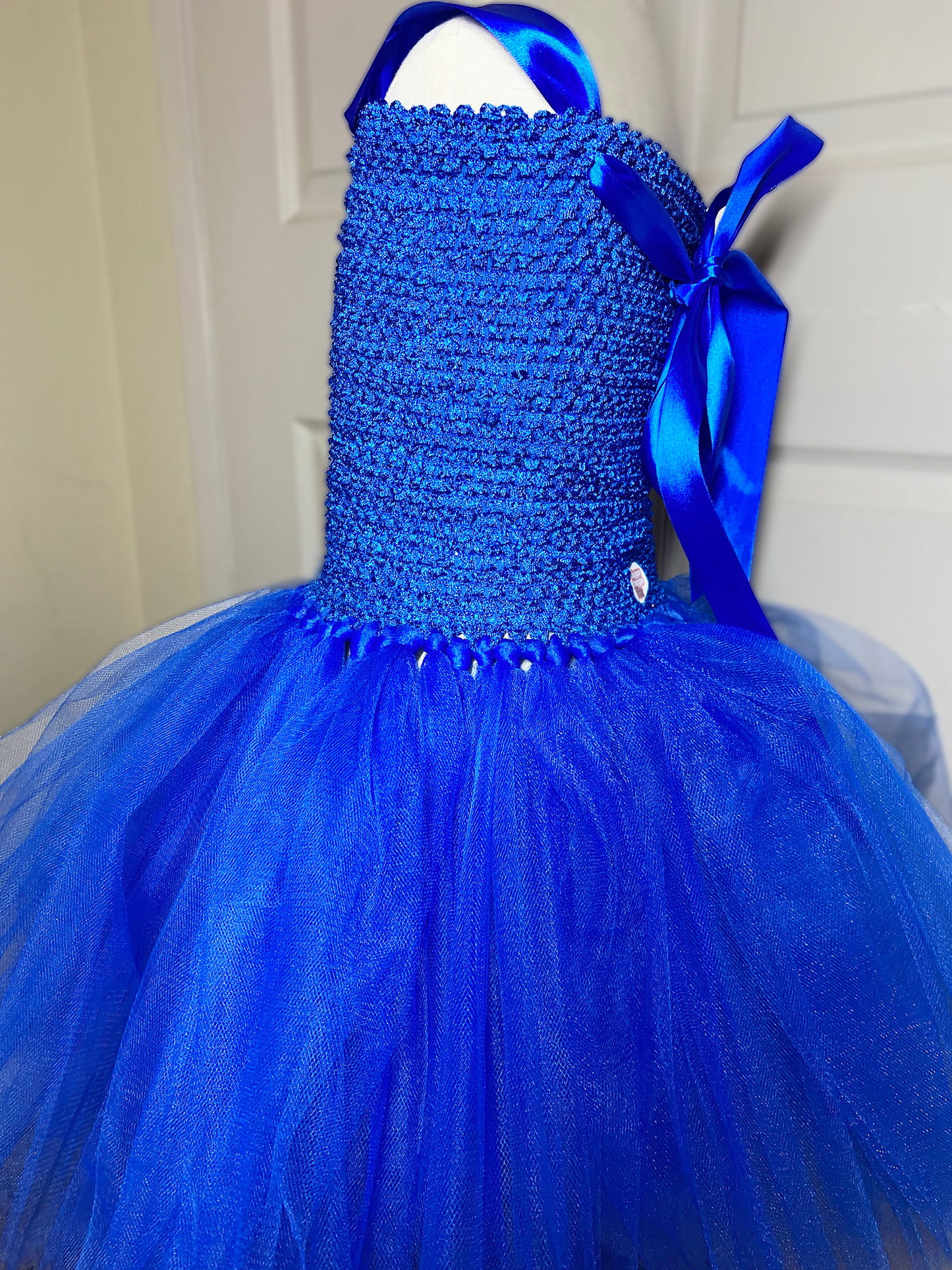 Cookie Monster Costume Tutu Dress with Cotton Lined Top